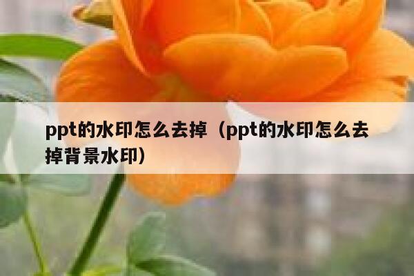 ppt的水印怎么去掉（ppt的水印怎么去掉背景水印）