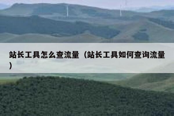 站长工具怎么查流量（站长工具如何查询流量）