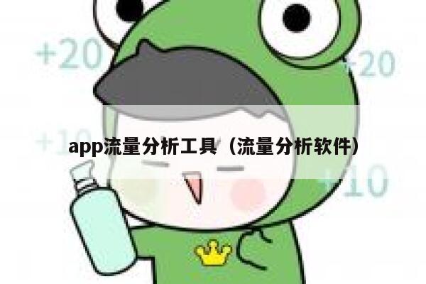 app流量分析工具（流量分析软件）