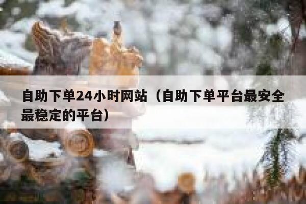 自助下单24小时网站（自助下单平台最安全最稳定的平台）