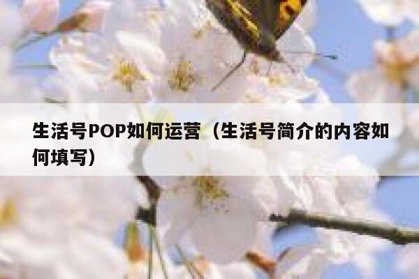 生活号POP如何运营（生活号简介的内容如何填写）