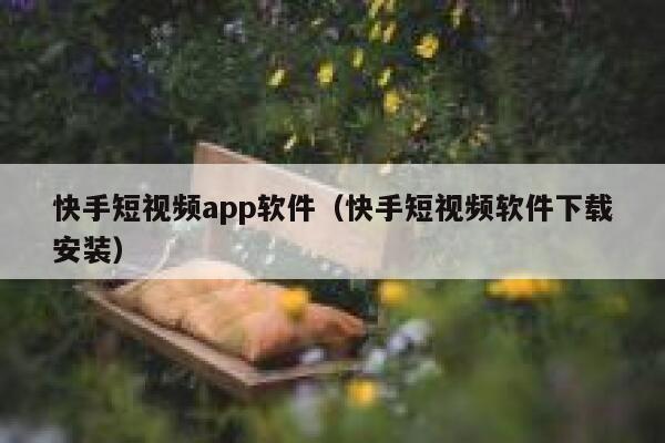 快手短视频app软件（快手短视频软件下载安装）