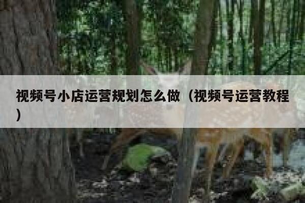 视频号小店运营规划怎么做（视频号运营教程）