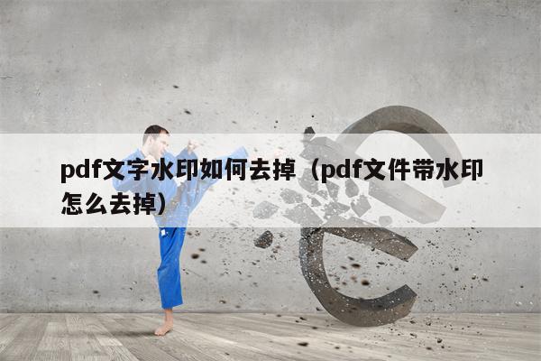 pdf文字水印如何去掉（pdf文件带水印怎么去掉）