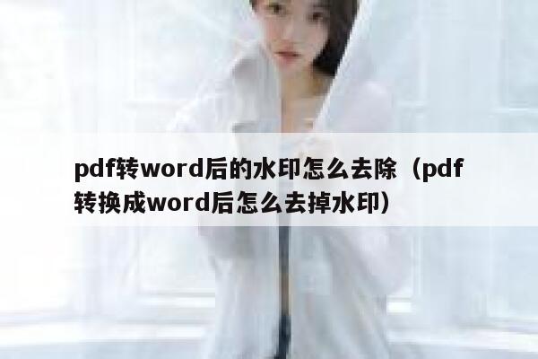 pdf转word后的水印怎么去除（pdf转换成word后怎么去掉水印）