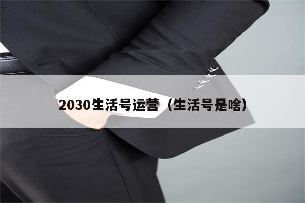 2030生活号运营（生活号是啥）