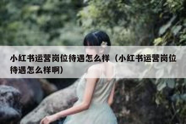 小红书运营岗位待遇怎么样（小红书运营岗位待遇怎么样啊）