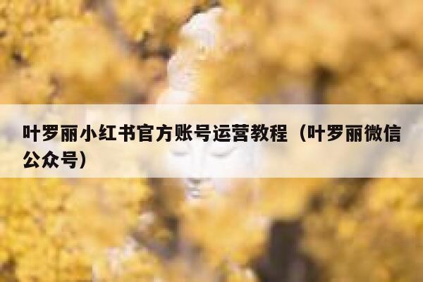 叶罗丽小红书官方账号运营教程（叶罗丽微信公众号）