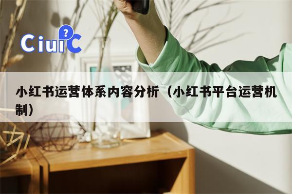 小红书运营体系内容分析（小红书平台运营机制）