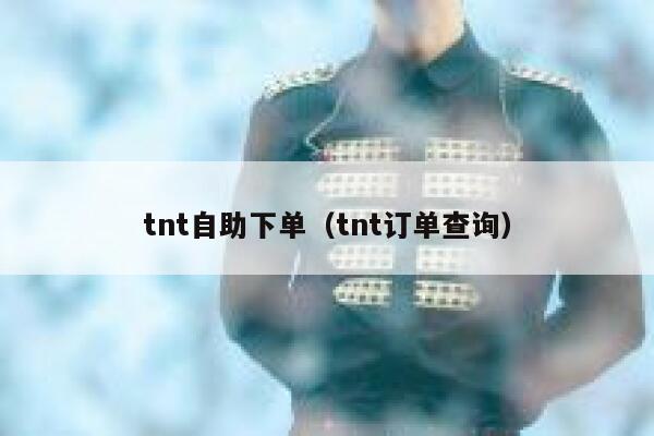 tnt自助下单（tnt订单查询）