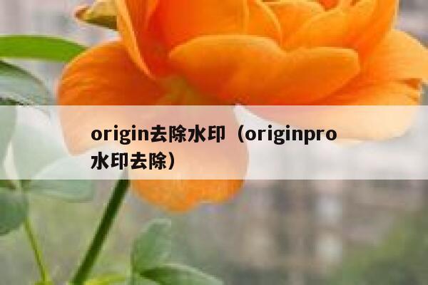 origin去除水印（originpro水印去除）