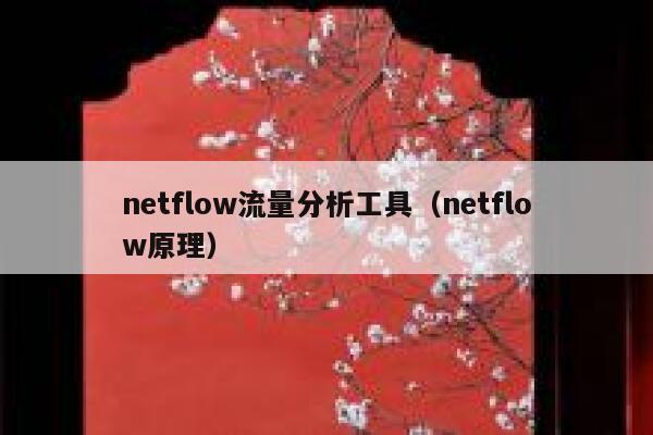 netflow流量分析工具（netflow原理）