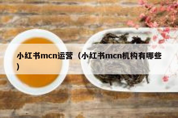 小红书mcn运营（小红书mcn机构有哪些）