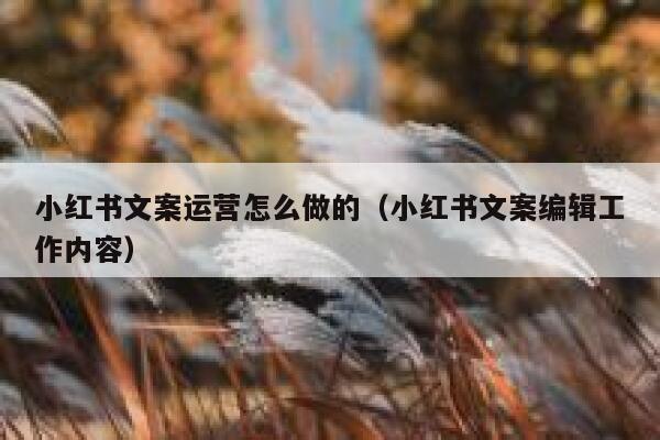 小红书文案运营怎么做的（小红书文案编辑工作内容）