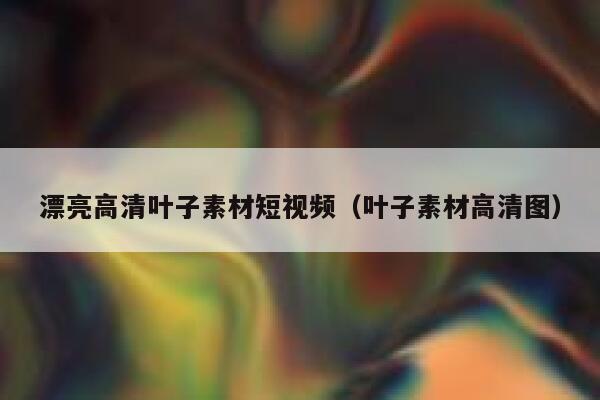 漂亮高清叶子素材短视频（叶子素材高清图）