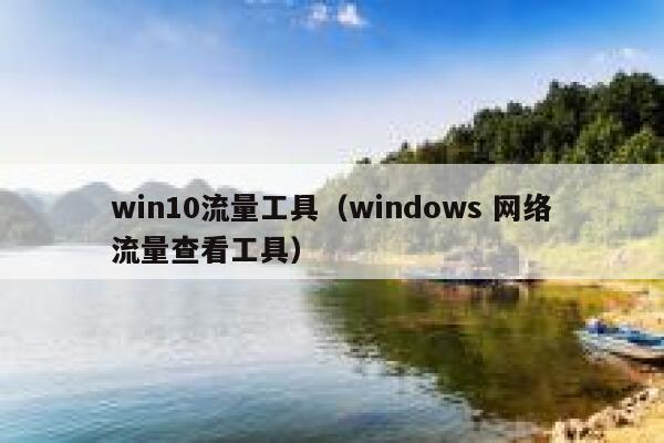 win10流量工具（windows 网络流量查看工具）