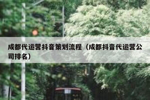 成都代运营抖音策划流程（成都抖音代运营公司排名）