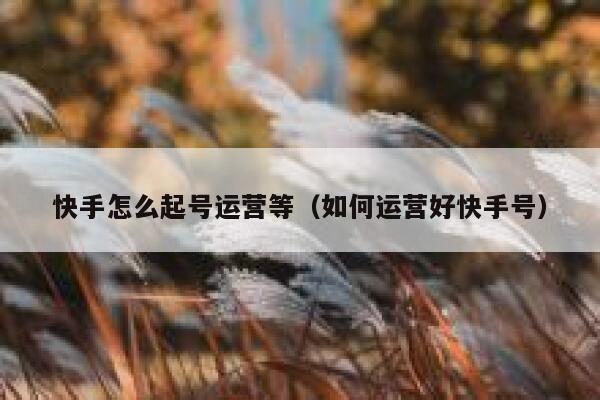 快手怎么起号运营等（如何运营好快手号）