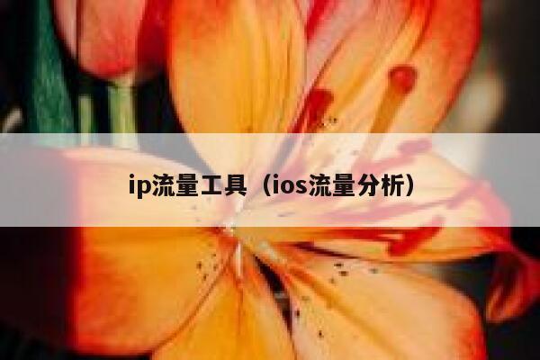 ip流量工具（ios流量分析）