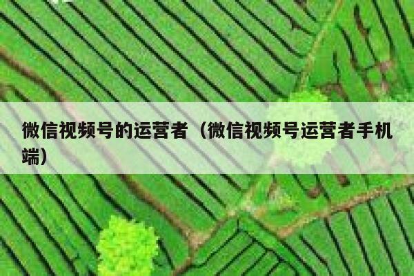 微信视频号的运营者（微信视频号运营者手机端）