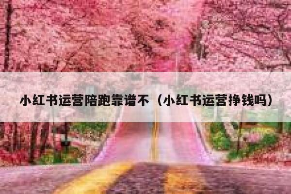 小红书运营陪跑靠谱不（小红书运营挣钱吗）