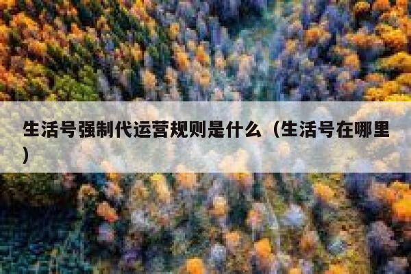 生活号强制代运营规则是什么（生活号在哪里）