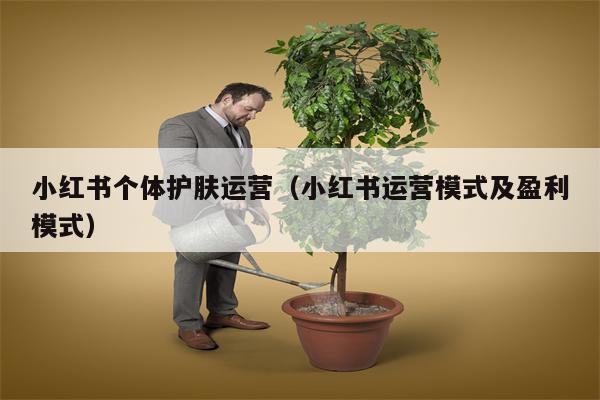 小红书个体护肤运营（小红书运营模式及盈利模式）