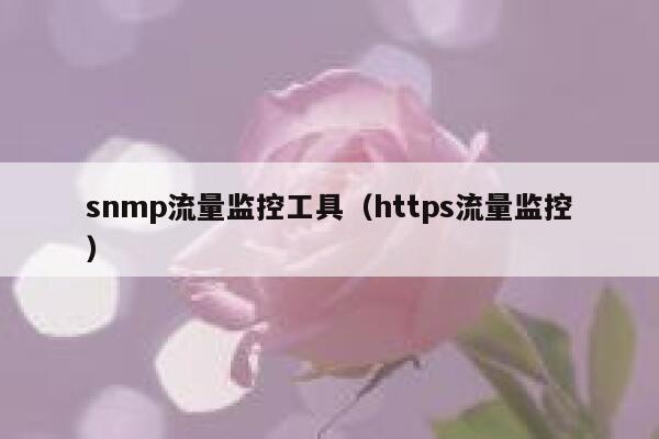 snmp流量监控工具（https流量监控）