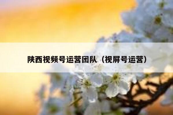 陕西视频号运营团队（视屏号运营）