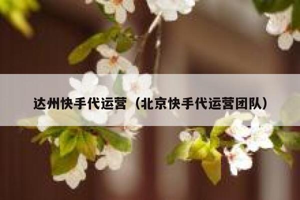 达州快手代运营（北京快手代运营团队）