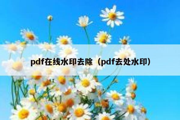 pdf在线水印去除（pdf去处水印）