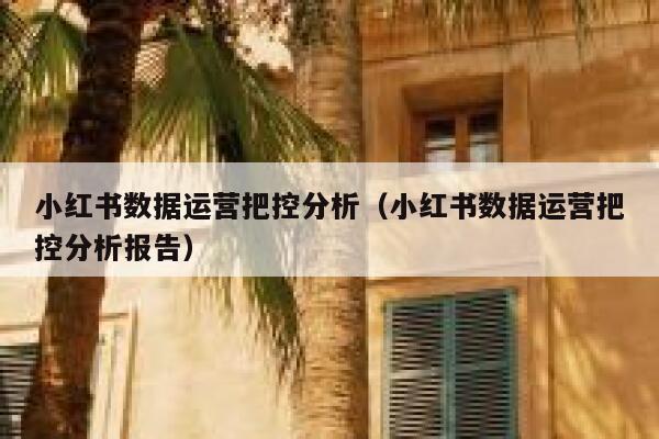 小红书数据运营把控分析（小红书数据运营把控分析报告）