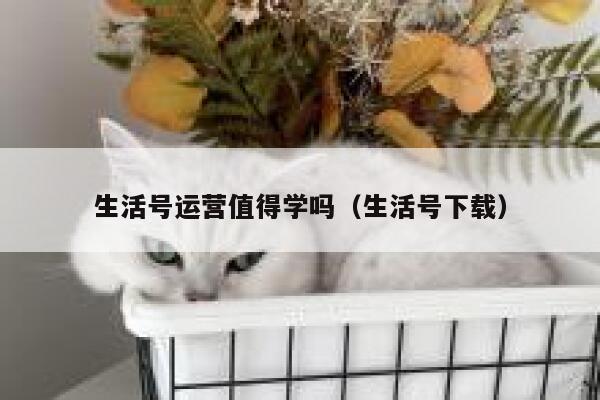 生活号运营值得学吗（生活号下载）