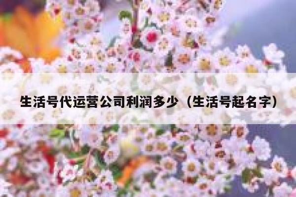 生活号代运营公司利润多少（生活号起名字）