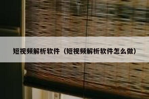 短视频解析软件（短视频解析软件怎么做）