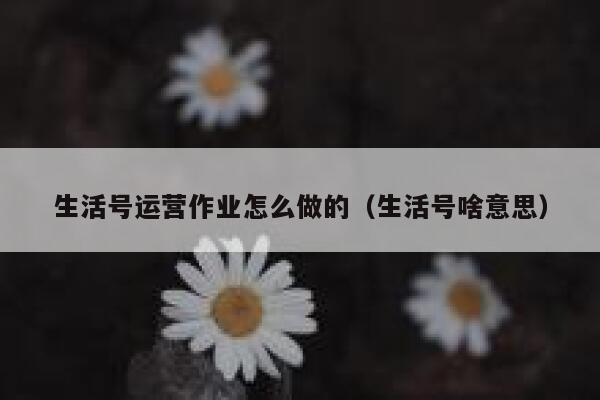 生活号运营作业怎么做的（生活号啥意思）