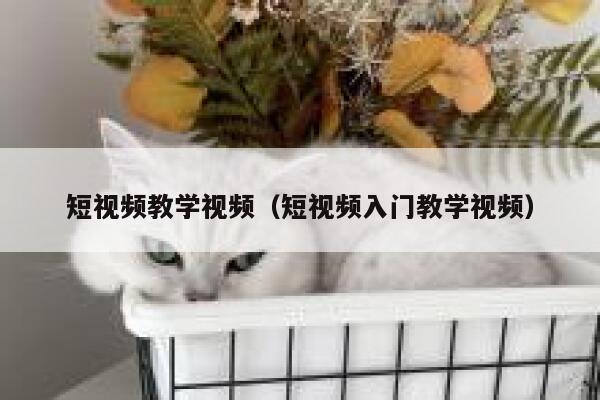 短视频教学视频（短视频入门教学视频）