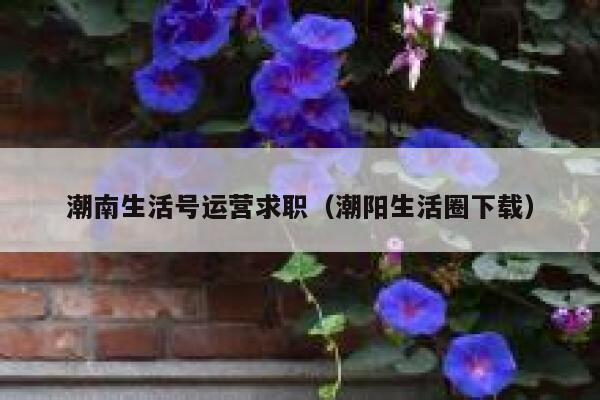 潮南生活号运营求职（潮阳生活圈下载）