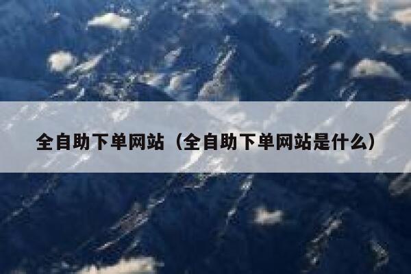 全自助下单网站（全自助下单网站是什么）