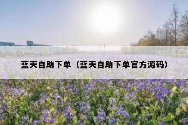 蓝天自助下单（蓝天自助下单官方源码）