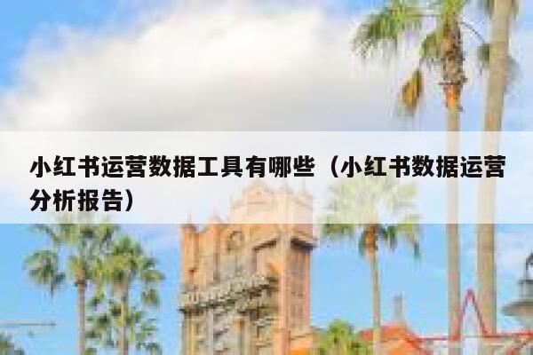 小红书运营数据工具有哪些（小红书数据运营分析报告）