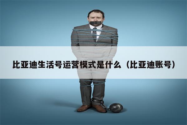 比亚迪生活号运营模式是什么（比亚迪账号）