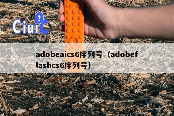 adobeaics6序列号（adobeflashcs6序列号）