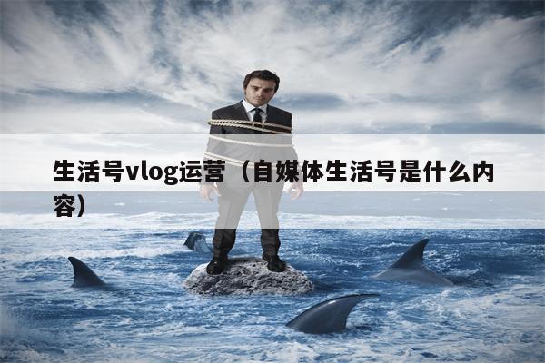 生活号vlog运营（自媒体生活号是什么内容）