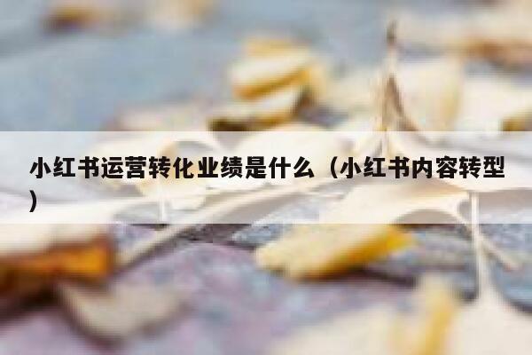 小红书运营转化业绩是什么（小红书内容转型）