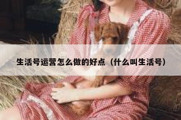 生活号运营怎么做的好点（什么叫生活号）