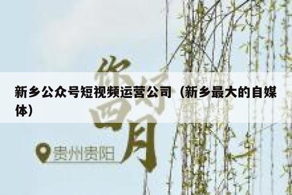 新乡公众号短视频运营公司（新乡最大的自媒体）