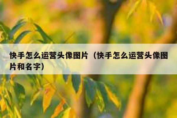 快手怎么运营头像图片（快手怎么运营头像图片和名字）