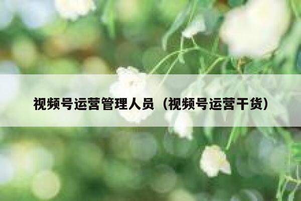 视频号运营管理人员（视频号运营干货）