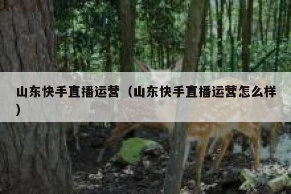 山东快手直播运营（山东快手直播运营怎么样）